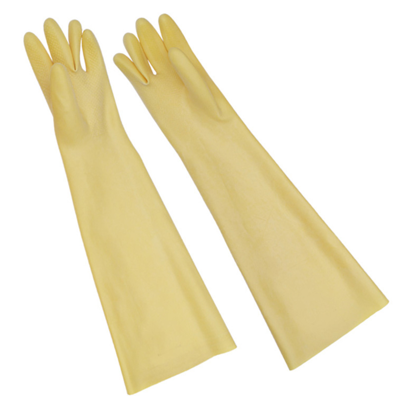 Goma larga y gruesa de látex p - Dish Glove Rubber reseña y precio